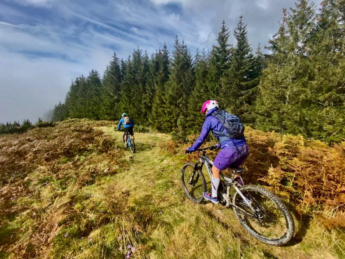 circuit enduro