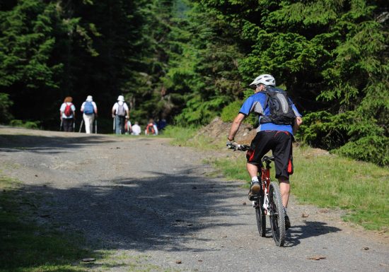 Circuit VTT n°11 – Val d’Azun – Le Liar