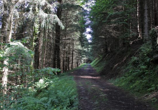 Circuit VTT n°5 – Val d&rsquo;Azun – Le fond de vallée