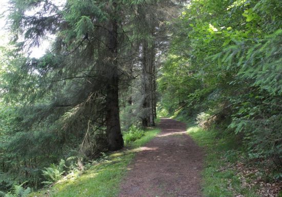 Circuit VTT n°5 – Val d&rsquo;Azun – Le fond de vallée