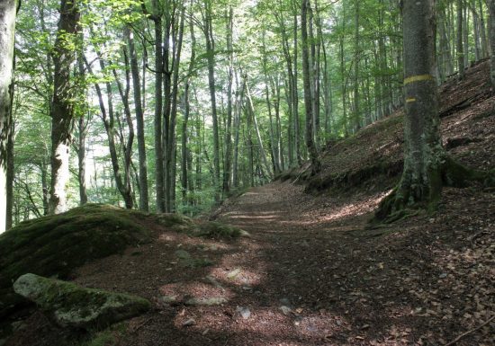 Circuit VTT n°5 – Val d&rsquo;Azun – Le fond de vallée