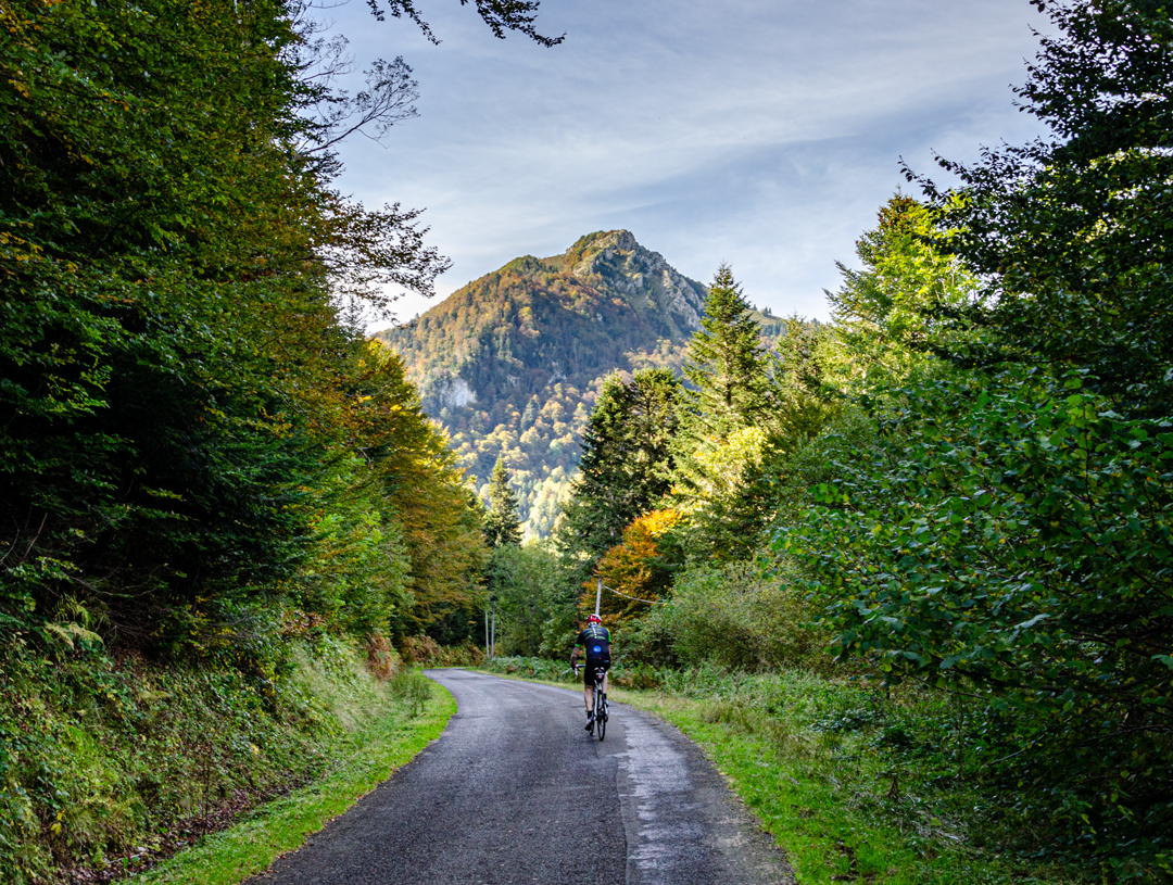 destination velo
