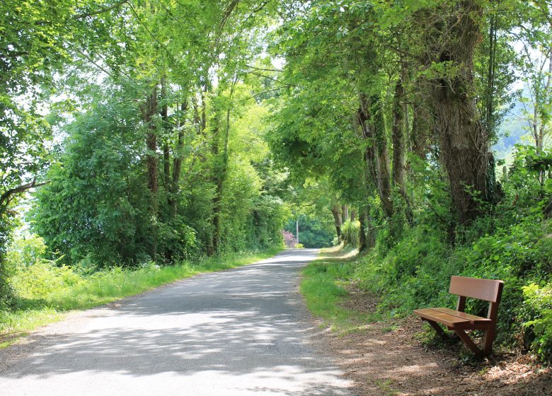 Le Vallon du Salut et les allées Maintenon