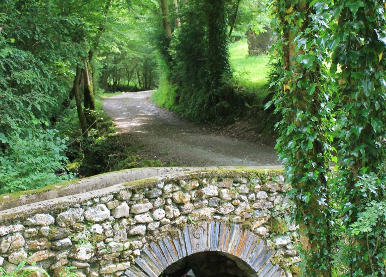 D7 La Fontaine de Crastes