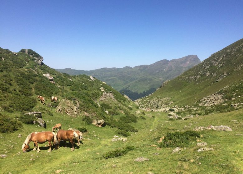 Le Lac de Peyrelade