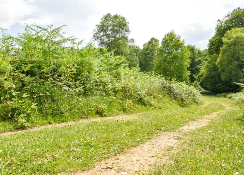 Le col des Palomières