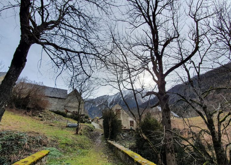 RANDO – Chemin des buis