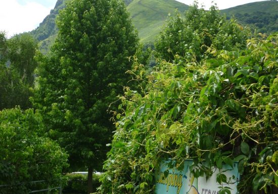 CAMPING « L’ARRAYADE »