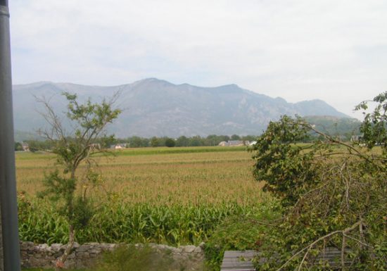 APPARTEMENT DANS MAISON N°2 – RDC