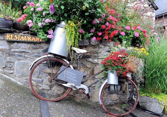 LA GRANGE AUX MARMOTTES