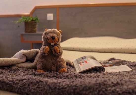 HOTEL ASTERIDES-SACCA