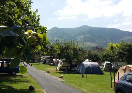 CAMPING LA POMMERAIE