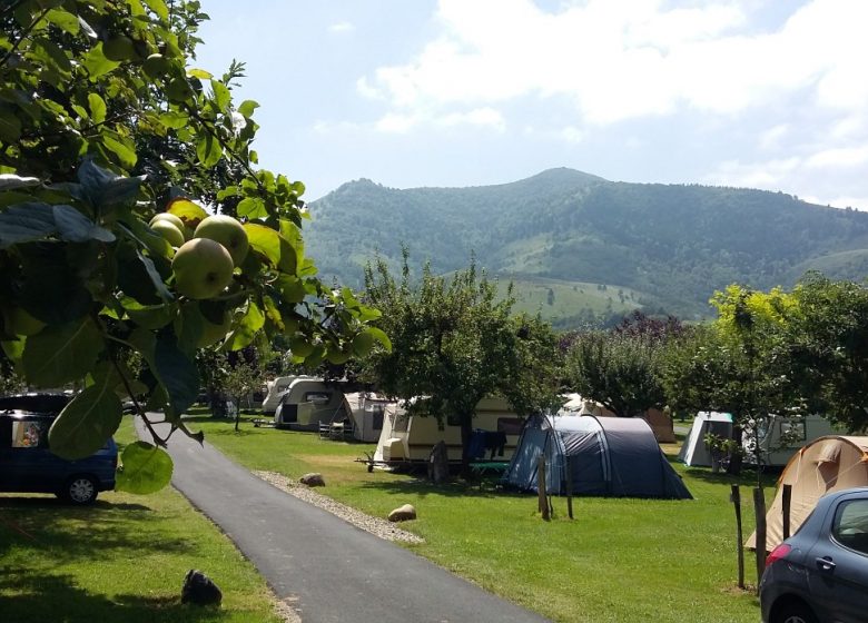 CAMPING LA POMMERAIE