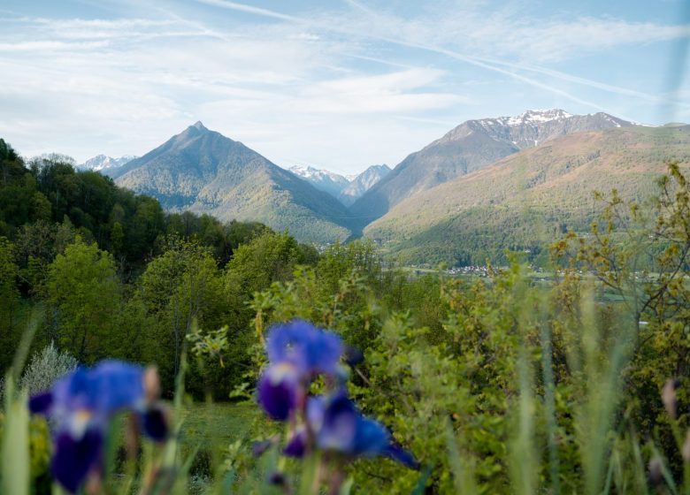 CHAMBRES D’HÔTES – LE LODGE DU HAUTACAM