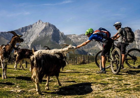 MONT’ À VÉLO – SALLY ROBIN