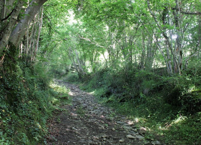 Les granges des Artigaux