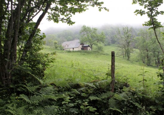 Les granges des Artigaux