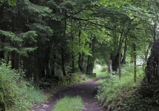 Les granges des Artigaux