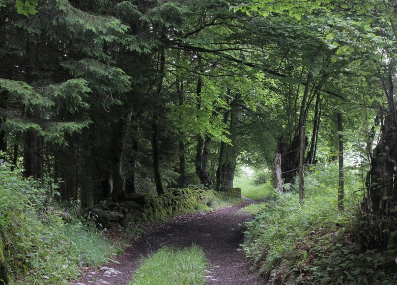 Les granges des Artigaux