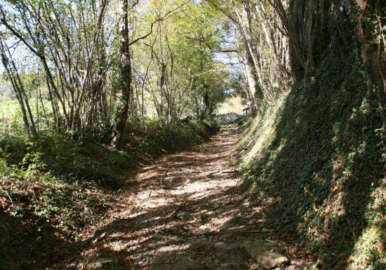 Les granges des Artigaux