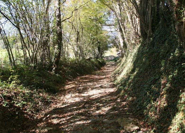 Les granges des Artigaux