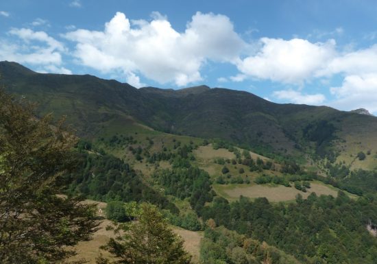 Circuit VTT n°5 – Cauterets – Le bois d’Aumède