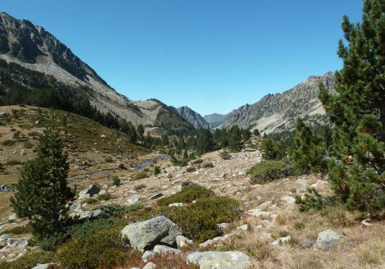 Circuit trail n°5 – Le Tour des Lacs