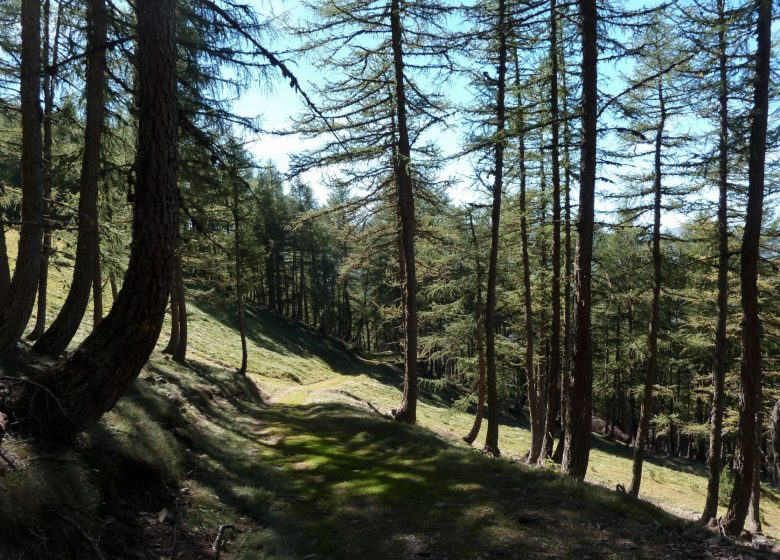 Le col d’Ayré