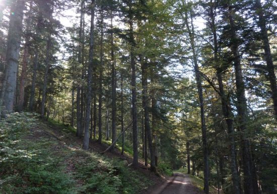 Le col d&rsquo;Ayré
