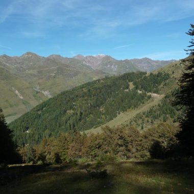 Enduro n°118 – La forêt de l&rsquo;Ayré