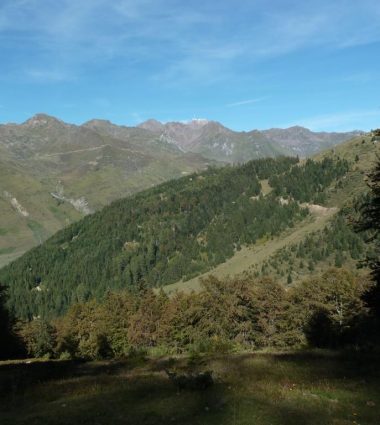 Enduro n°118 – La forêt de l’Ayré