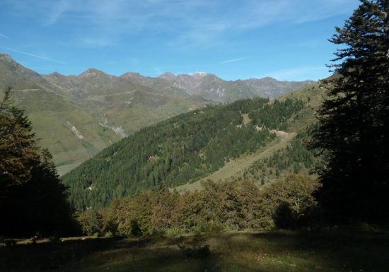 Enduro n°118 – La forêt de l’Ayré