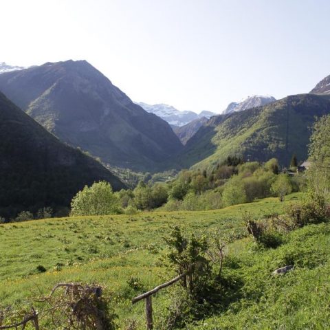 Circuit n°8 – Gavarnie-Gèdre – Boucle d’Ayruès-Bué