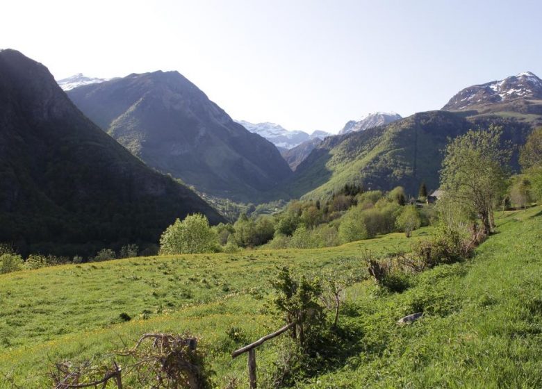 Circuit n°8 – Gavarnie-Gèdre – Boucle d’Ayruès-Bué