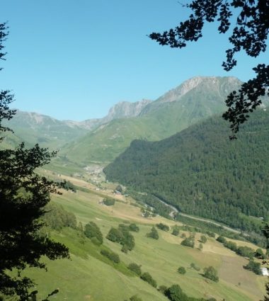 Enduro n°116 – Souriche