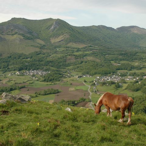 Circuit n°13 – Lourdes – La vallée de Batsurguère