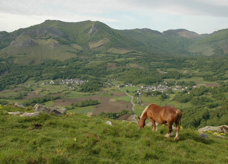 Circuit n°13 – Lourdes – La vallée de Batsurguère
