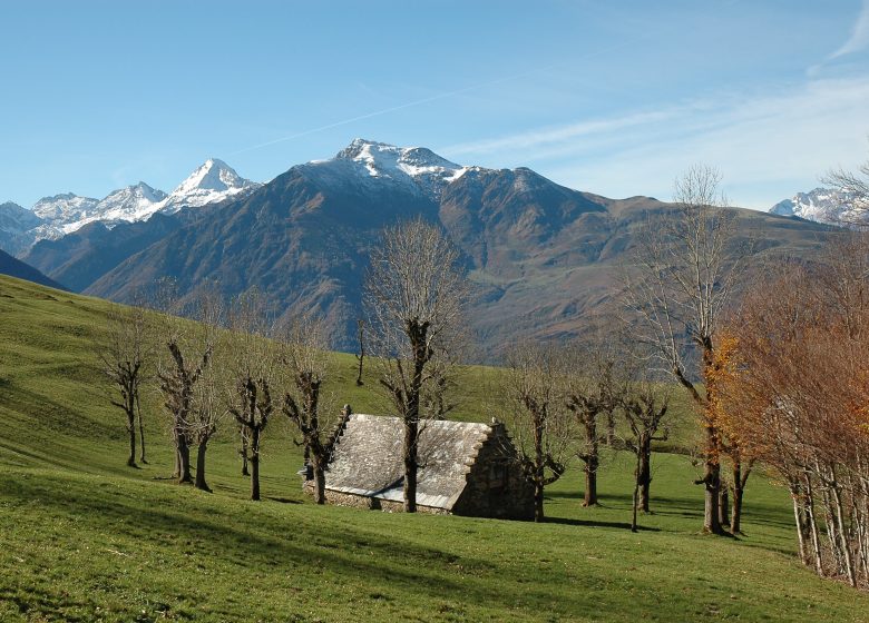 L’ascension de Hautacam