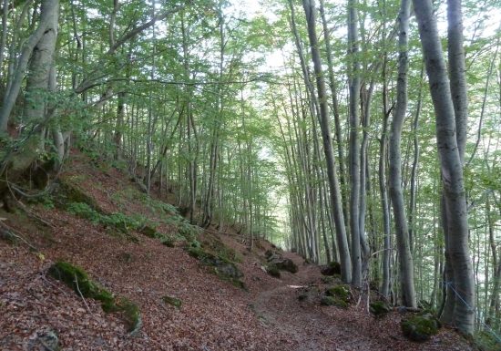 Les granges de Campbieilh en boucle