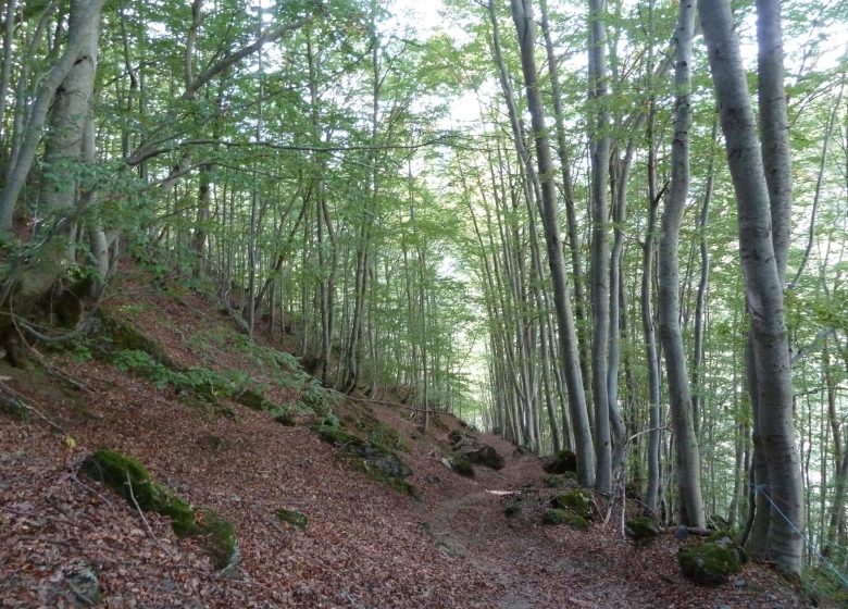 Les granges de Campbieilh en boucle