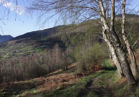 Circuit trail n°2 – Vallée d&rsquo;Argelès – Cap de Mourquey