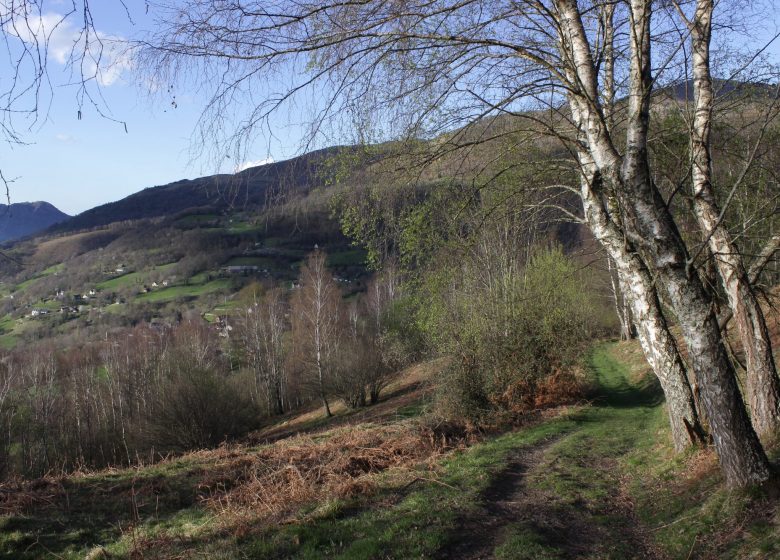 Circuit trail n°2 – Vallée d’Argelès – Cap de Mourquey