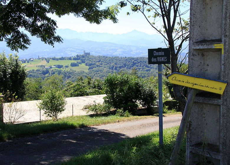 Chemin des Vignes