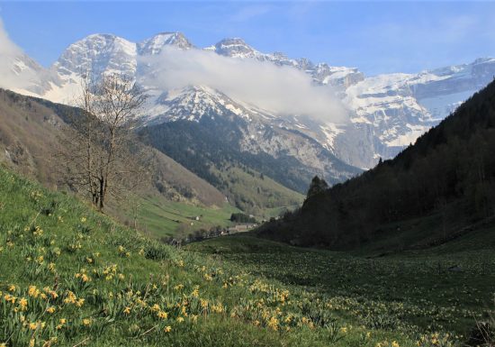 Le belvédère de Notre-Dame des Neiges