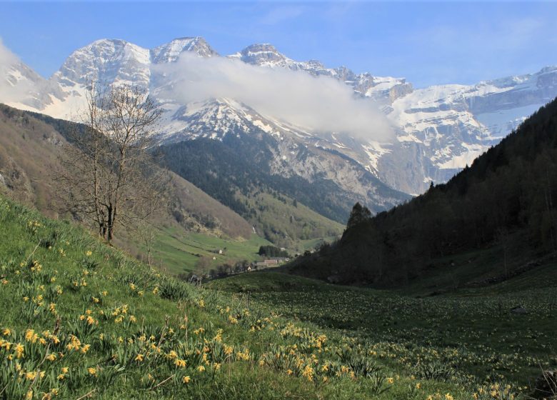 Le belvédère de Notre-Dame des Neiges