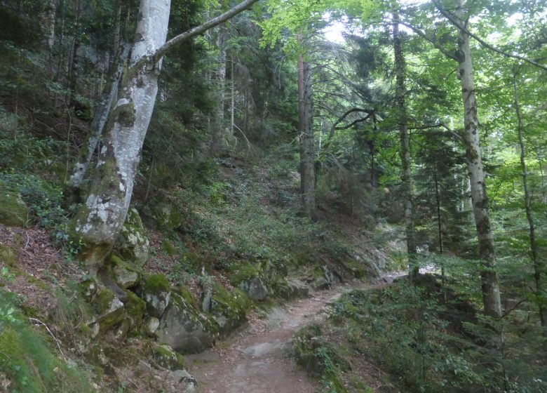 Le tour du Vallon Thermal