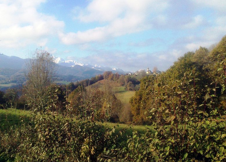 Chemin des Tumulus