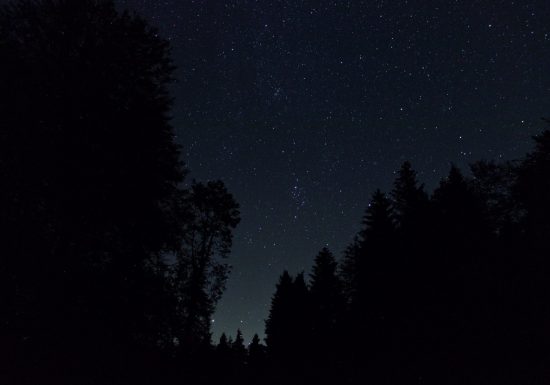 La pépinière céleste, de jour ou de nuit