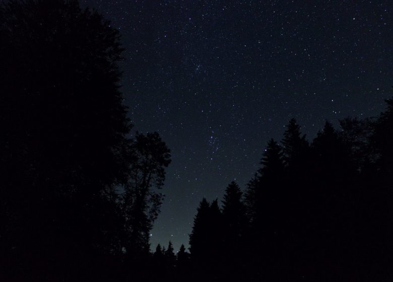 La pépinière céleste, de jour ou de nuit