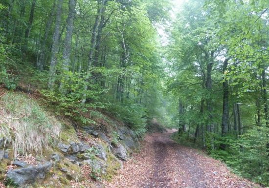 Le col d&rsquo;Andorre